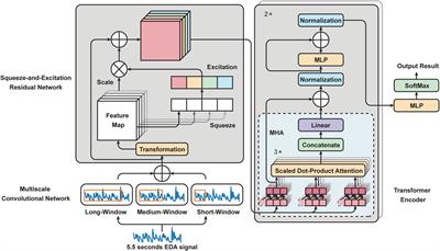 Transformer encoder with multiscale deep learning for pain classification using physiological signals